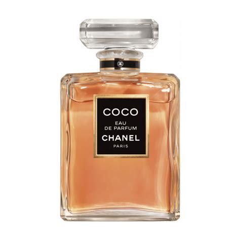 what chanel perfume to buy
